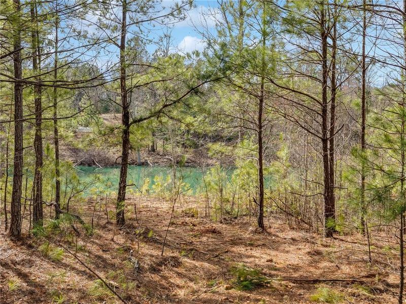 Natural landscape and outdoor views near in Dallas (Image 44). Natural landscape and outdoor views near in Dallas (Image 44).