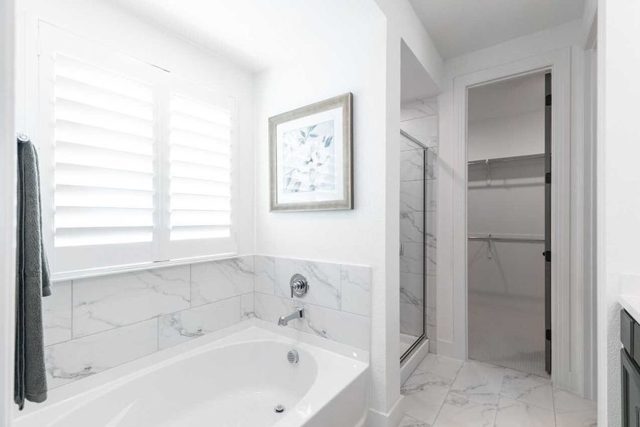 Representative Primary Bathroom - some options shown Representative Primary Bathroom - some options shown