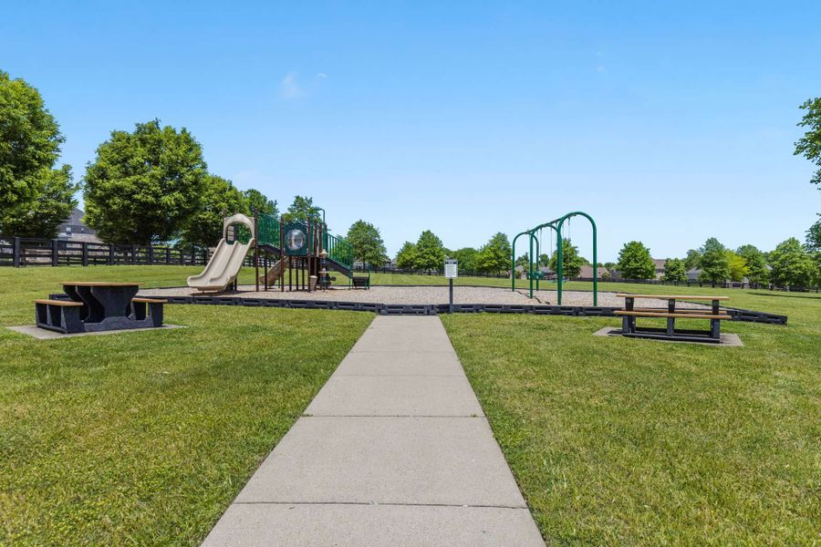 Community amenities in The Grove at Kennesaw Farms, Gallatin (Image 15).