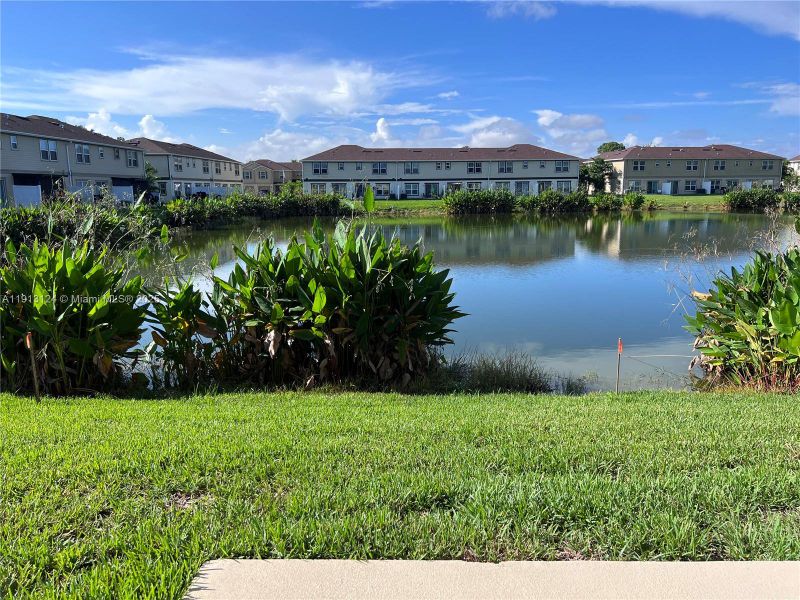 Natural landscape and outdoor views near in Fort Myers (Image 31). Natural landscape and outdoor views near in Fort Myers (Image 31).