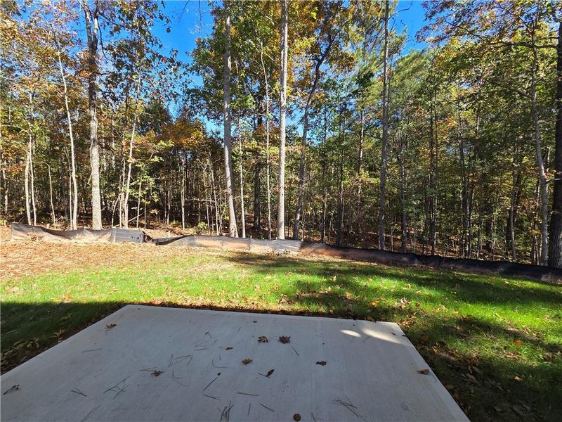 Natural landscape and outdoor views near Benson Estates in Dallas (Image 20). Natural landscape and outdoor views near Benson Estates in Dallas (Image 20).