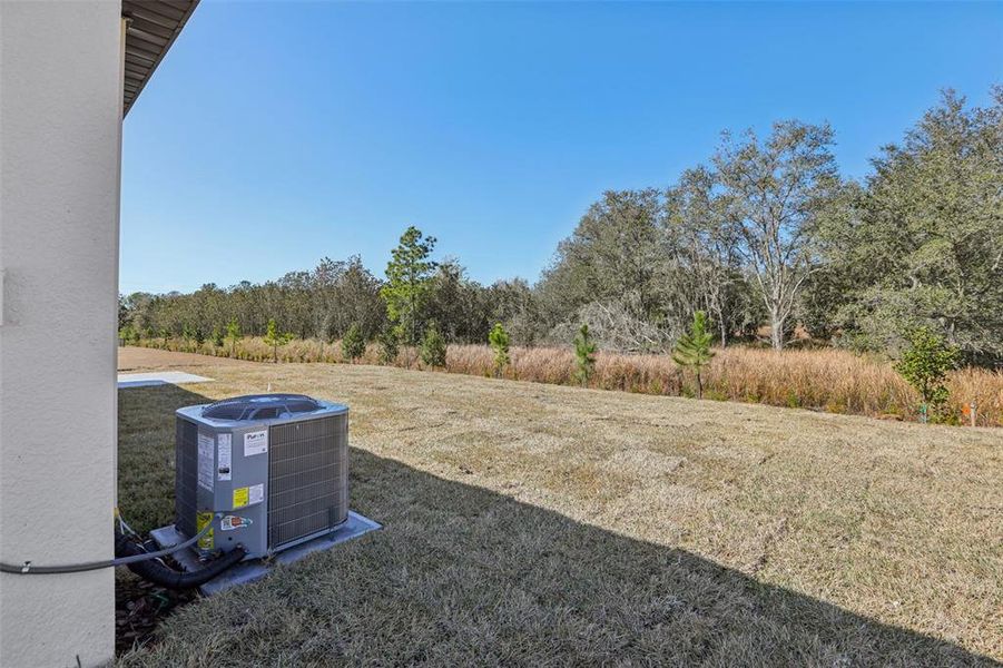 Exterior details and patio area of a home in Leyland Preserve - Classic Series, Brooksville (Image 25).