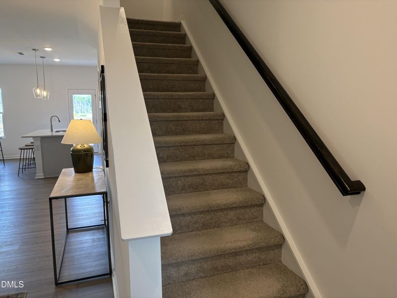IMG_8965