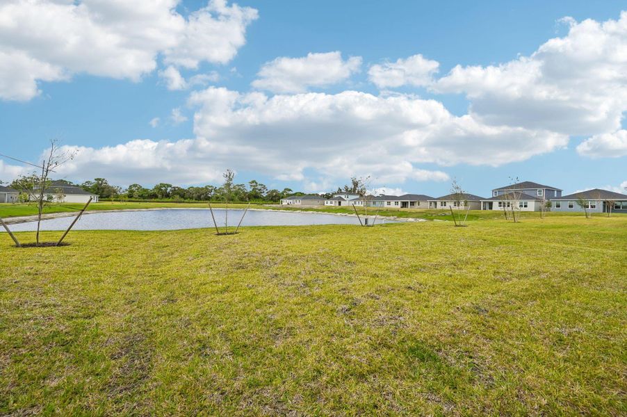 Natural landscape and outdoor views near Brystol at Wylder - Reserve Series in Port St. Lucie (Image 40).