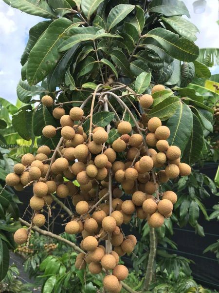 Image 18 of a home in .