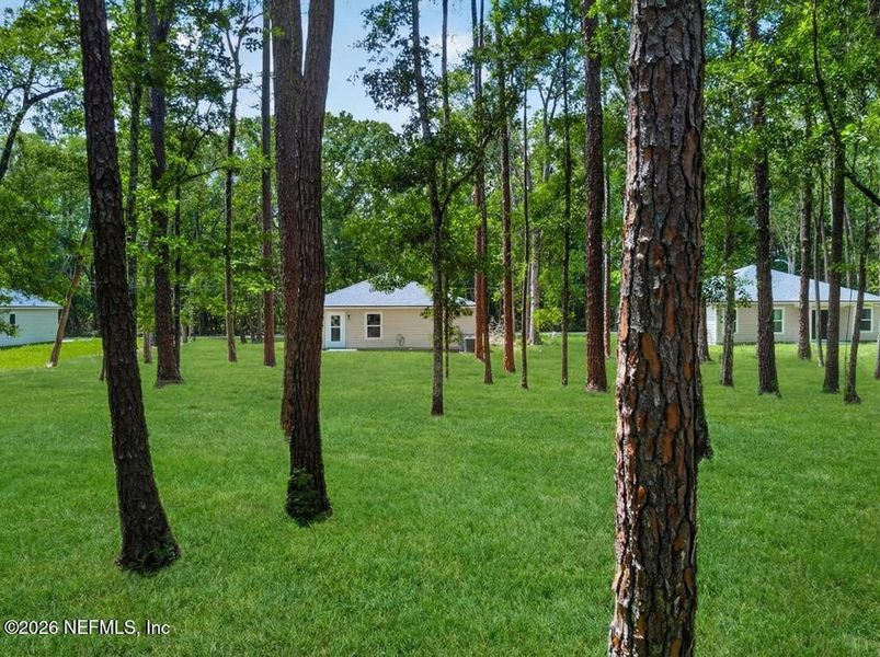 Natural landscape and outdoor views near  in Jacksonville (Image 49).