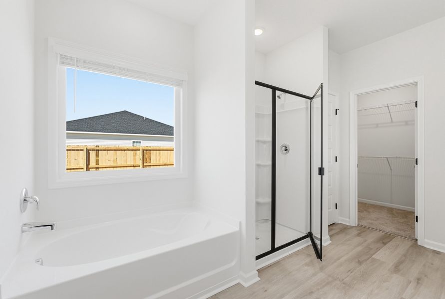 Representative furnished interior of a home built from the The Jackson by RTS Homes in Tibet Road at Sassafras, Allenhurst (Image 12). Representative furnished interior of a home built from the The Jackson by RTS Homes in Tibet Road at Sassafras, Allenhurst (Image 12).