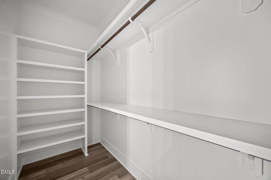 45-web-or-mls-IMG_8586