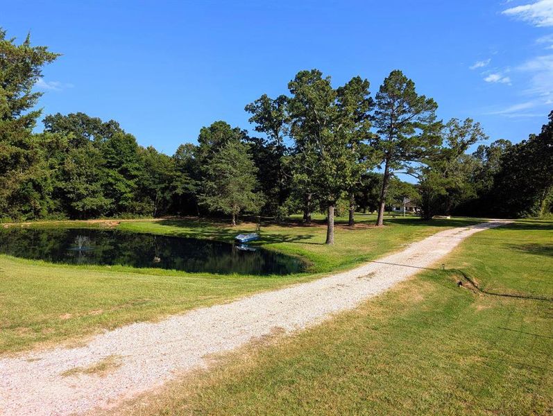 Natural landscape and outdoor views near  in Powderly (Image 23).