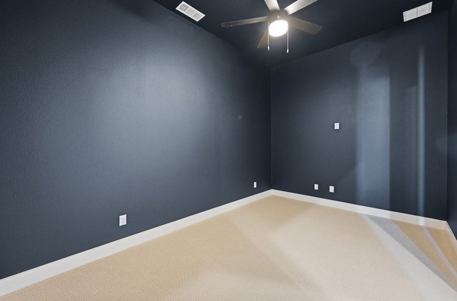 Entertainment Room