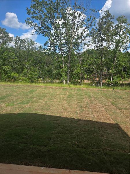 Natural landscape and outdoor views near Eagle Creek in Central (Image 13). Natural landscape and outdoor views near Eagle Creek in Central (Image 13).