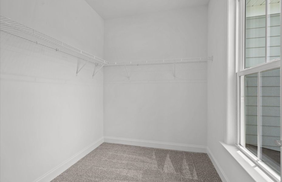 Spacious, unfurnished interior of a new home in Alston Park, Greenville (Image 26).