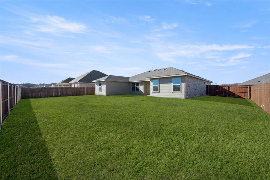 504 Diamond- Back-1 504 Diamond- Back-1