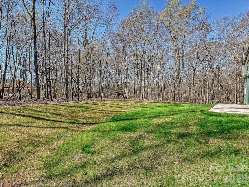 Natural landscape and outdoor views near  in Monroe (Image 29).