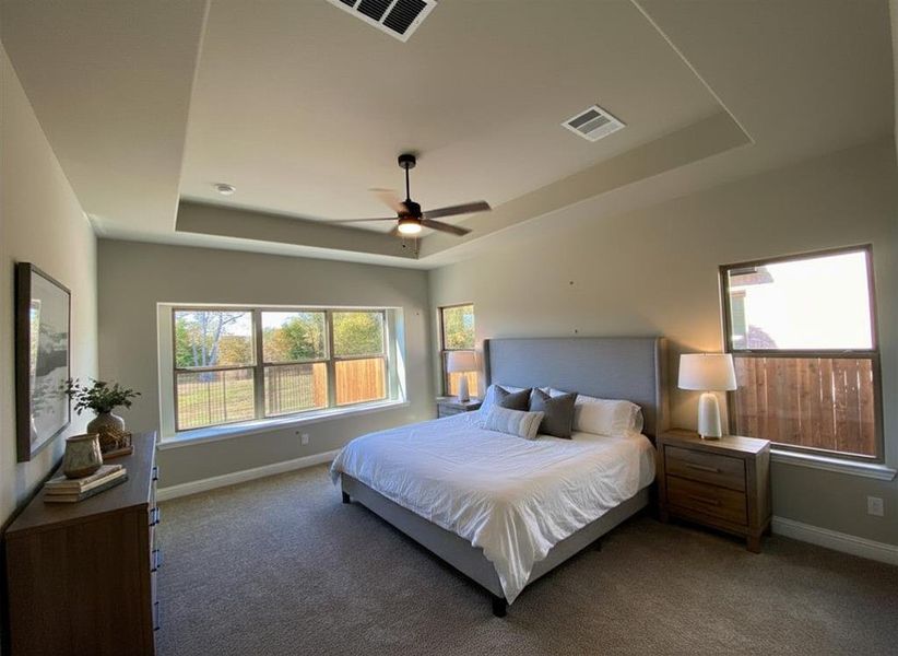 Spacious master bedroom has lots of windows, a window seat, tray ceiling, and ceiling fan,