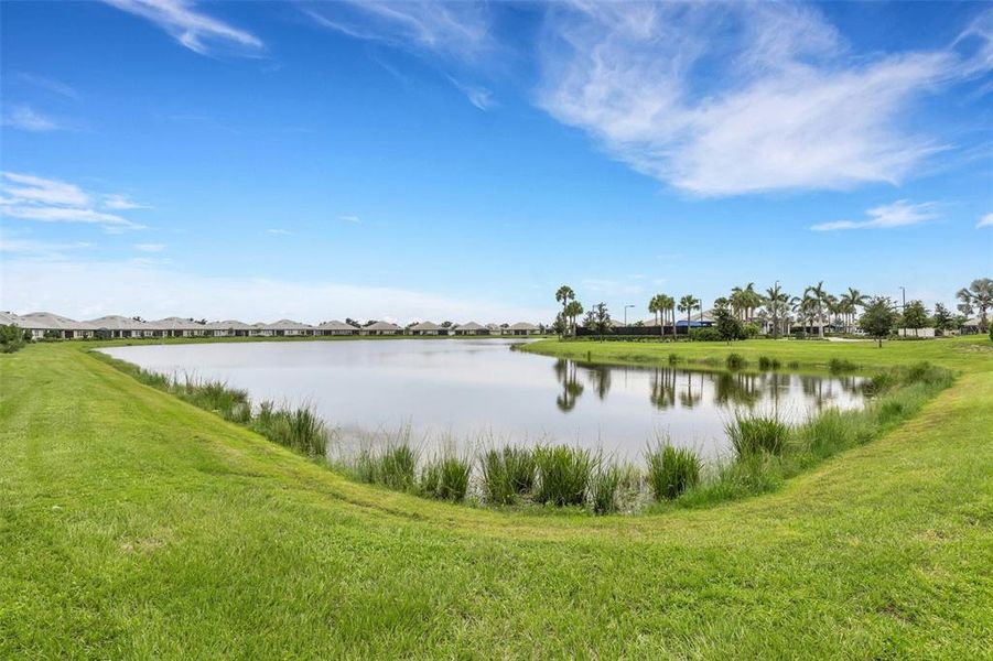 Natural landscape and outdoor views near Sweetwater at Lakewood Ranch in Lakewood Ranch (Image 61).