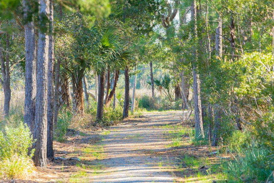Natural landscape and outdoor views near The Preserve at Pennys Creek in Johns Island (Image 14). Natural landscape and outdoor views near The Preserve at Pennys Creek in Johns Island (Image 14).
