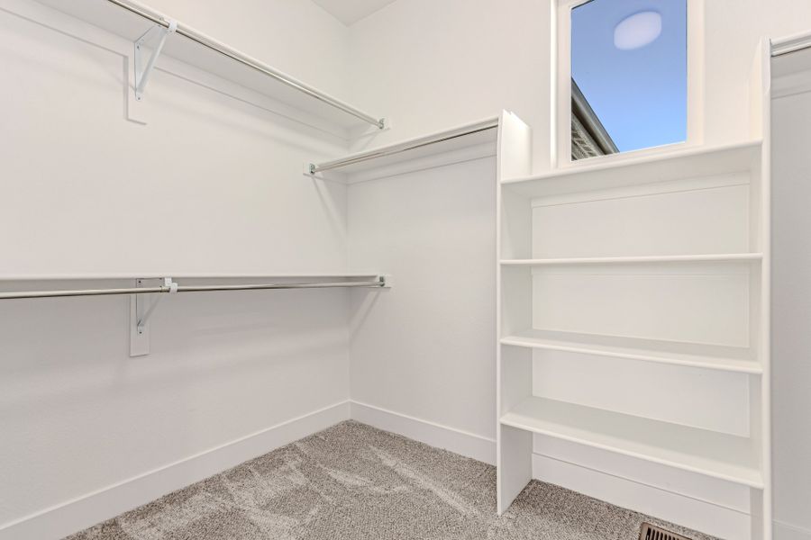 Spacious, unfurnished interior of a new home in West Grange, Longmont (Image 35).