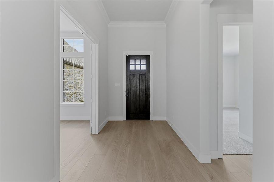 Entryway featuring light wood-finish flooring, a dark paneled door with glass inserts, and crown molding