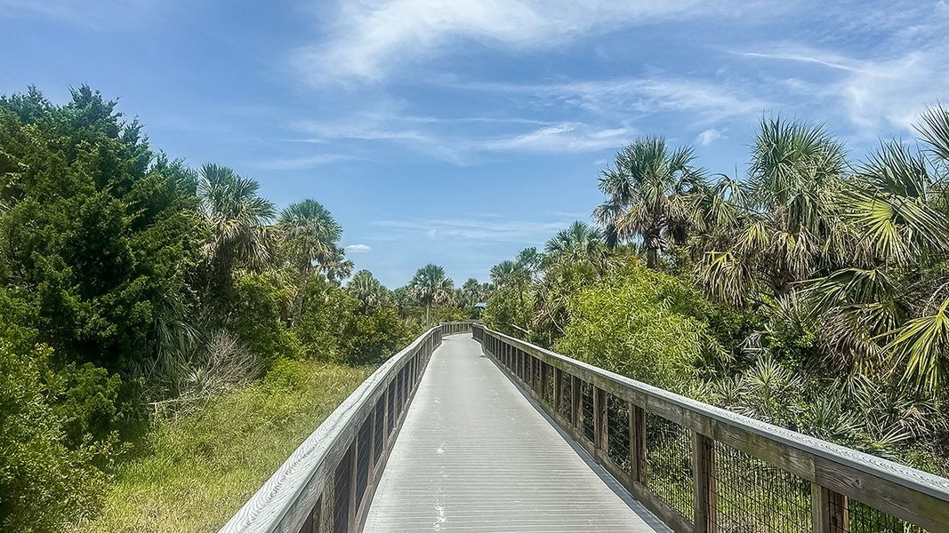 Natural landscape and outdoor views near Ardisia Park in New Smyrna Beach (Image 25).