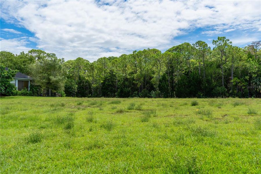 Natural landscape and outdoor views near  in Hudson (Image 26).