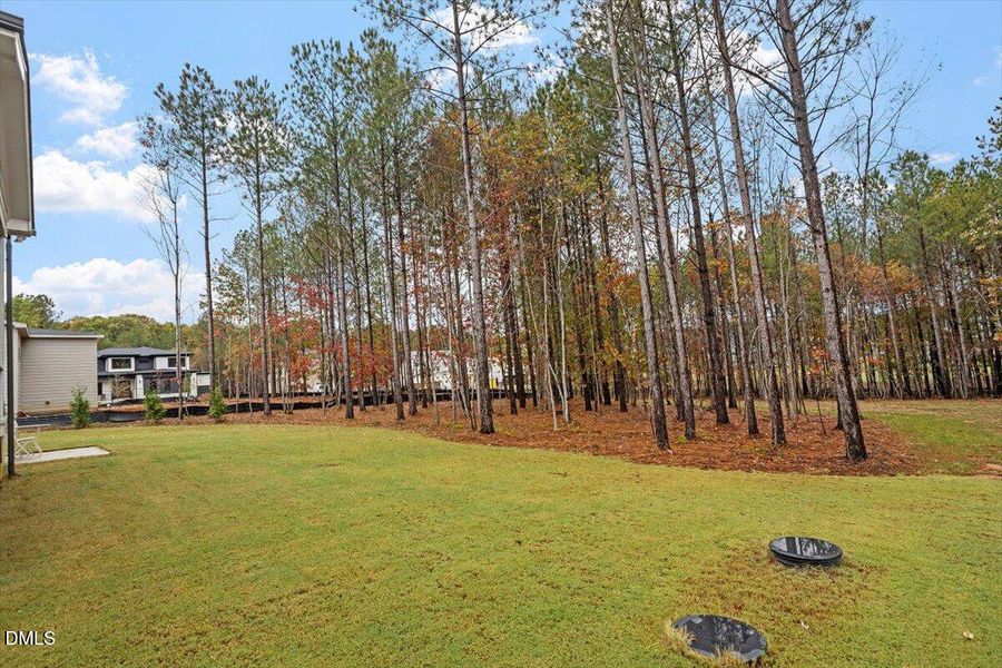 10-25 Chestnut Oak Drive [2627390]_09