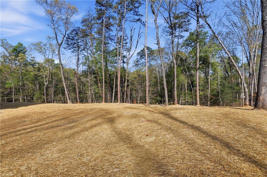 Natural landscape and outdoor views near  in Clarkesville (Image 7).