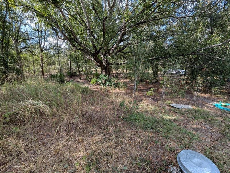 Natural landscape and outdoor views near  in Arcadia (Image 36).