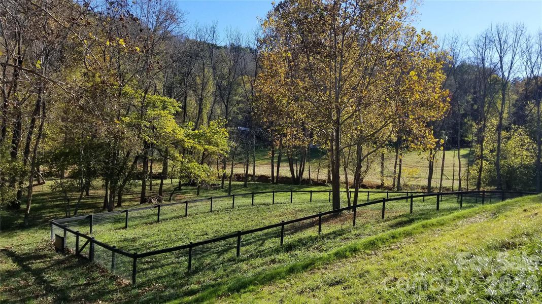 Natural landscape and outdoor views near  in Asheville (Image 37).