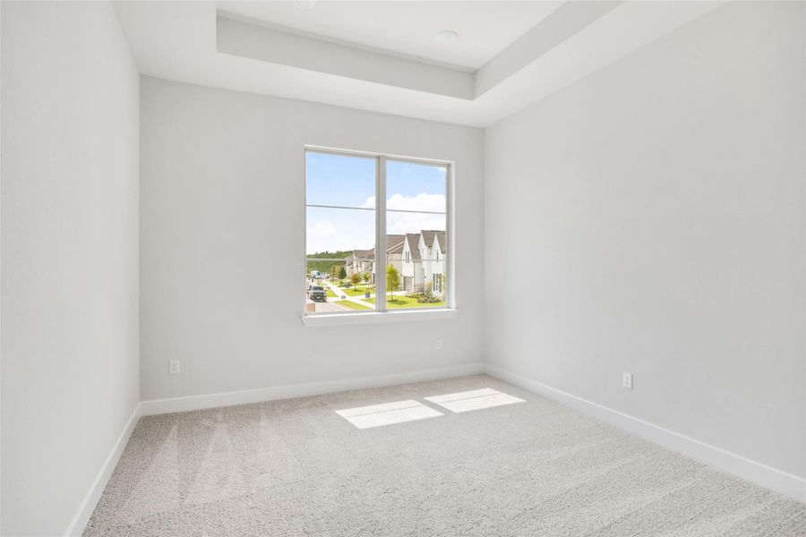 Carpeted spare room featuring baseboards and a raised ceiling Carpeted spare room featuring baseboards and a raised ceiling