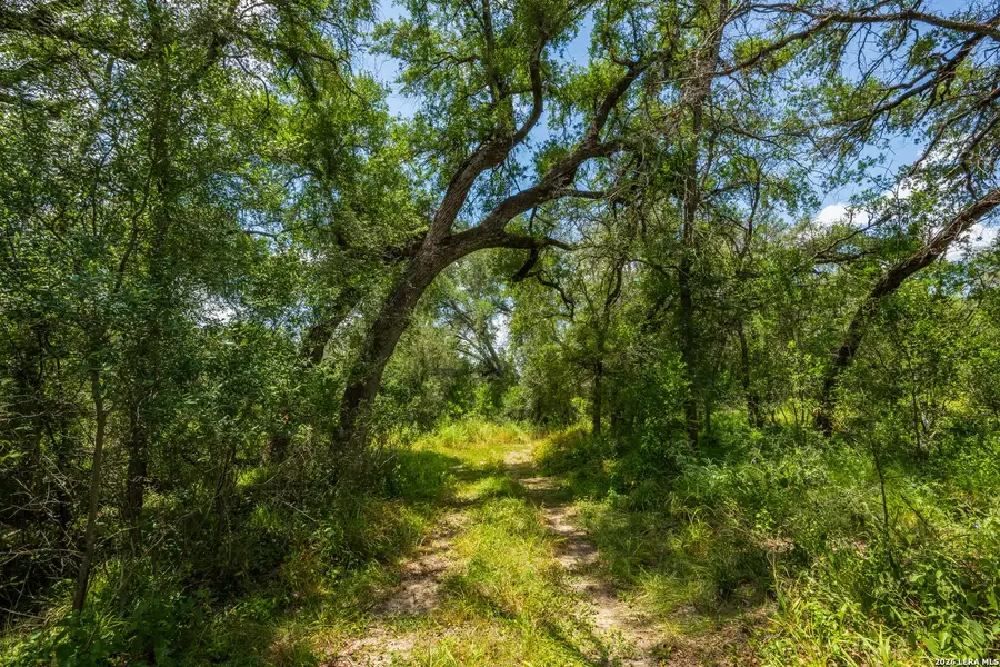 Natural landscape and outdoor views near in Crystal City (Image 38). Natural landscape and outdoor views near in Crystal City (Image 38).