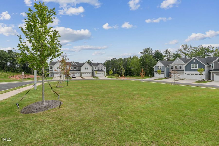 Tredenham-Greenspace-2_7.9.25_webready