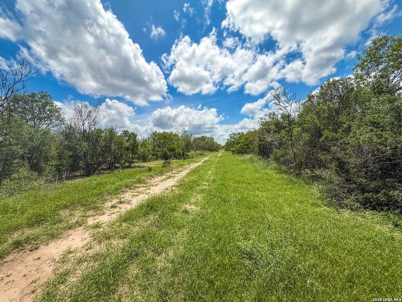 Natural landscape and outdoor views near in Kenedy (Image 9). Natural landscape and outdoor views near in Kenedy (Image 9).