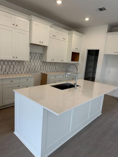 Representation - not actual home.