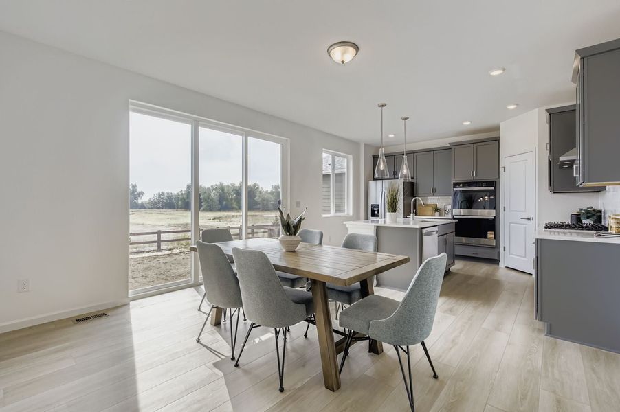 670 Noola St, Windsor, CO.  - Slide 26