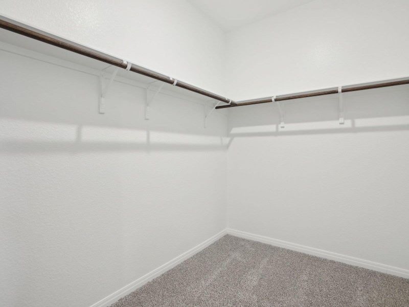 Walk in closet featuring carpet Walk in closet featuring carpet