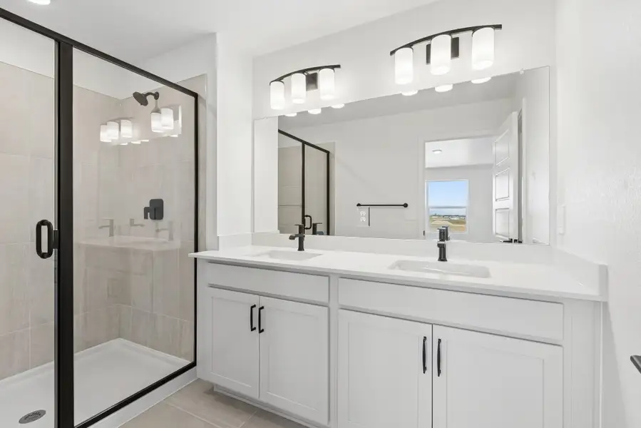 Owner's Bath