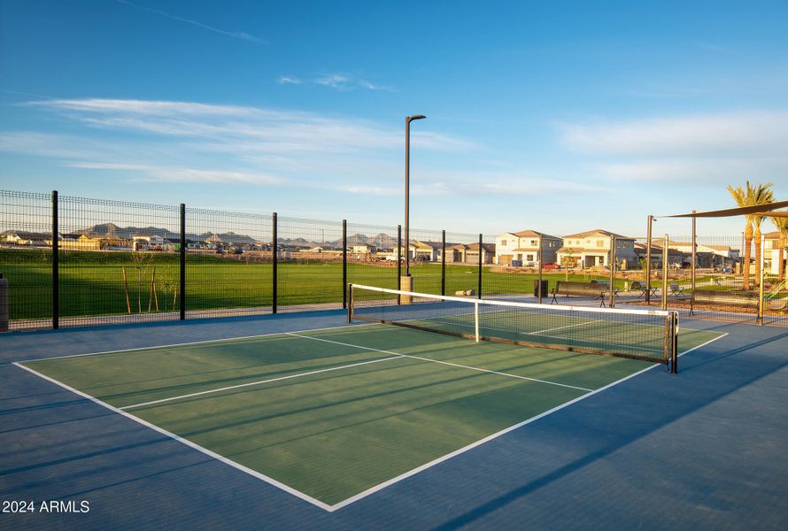 Pickleball Court Pickleball Court