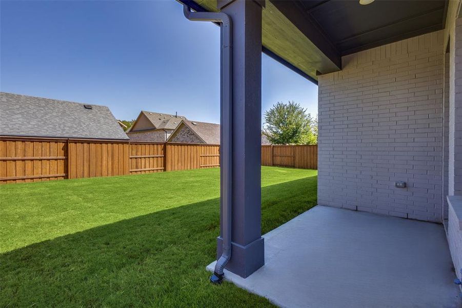 Rear Patio and large yard with luscious green grass Rear Patio and large yard with luscious green grass