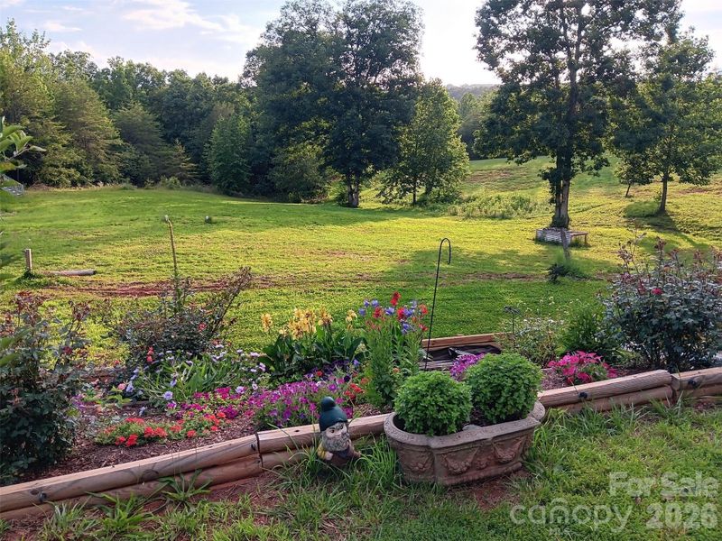 Natural landscape and outdoor views near  in Bostic (Image 39).