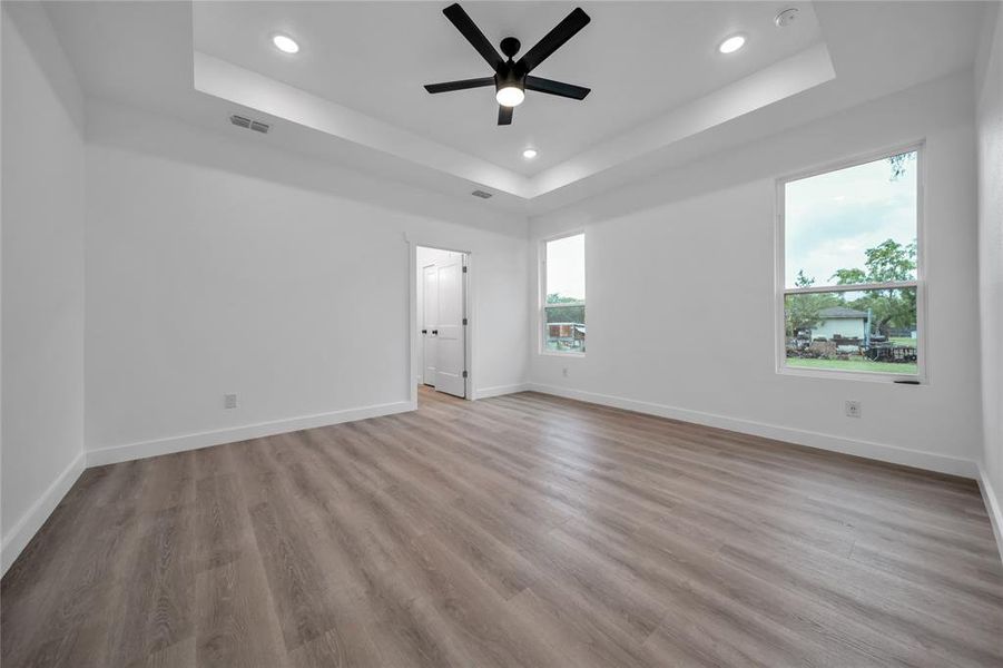 Spare room featuring plenty of natural light, a raised ceiling, and light wood-type flooring