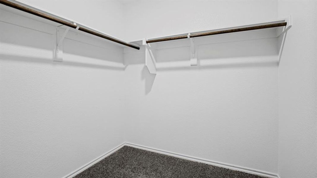 Walk-in closet featuring white walls, textured finishes, dark grey carpeting, and dual metal hanging rods with white shelving