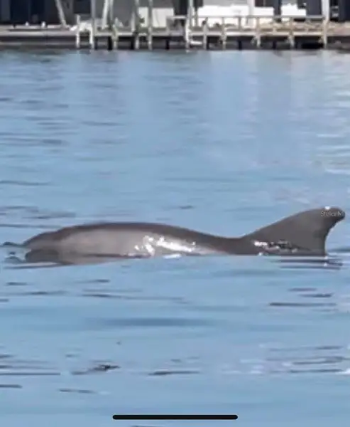 Image 28 of a home in Island Lakes at Coco Bay: Executive Homes. Image 28 of a home in Island Lakes at Coco Bay: Executive Homes.