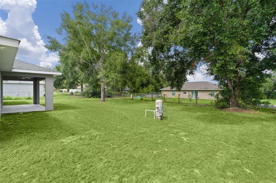 Natural landscape and outdoor views near  in Ocklawaha (Image 35).