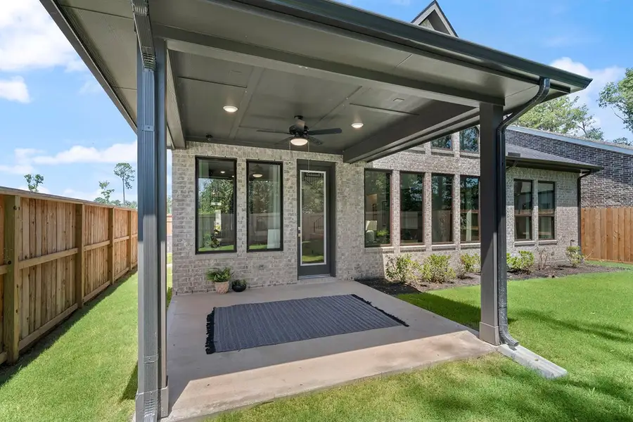 Exterior details and patio area of a home in The Highlands 50', Porter (Image 23).