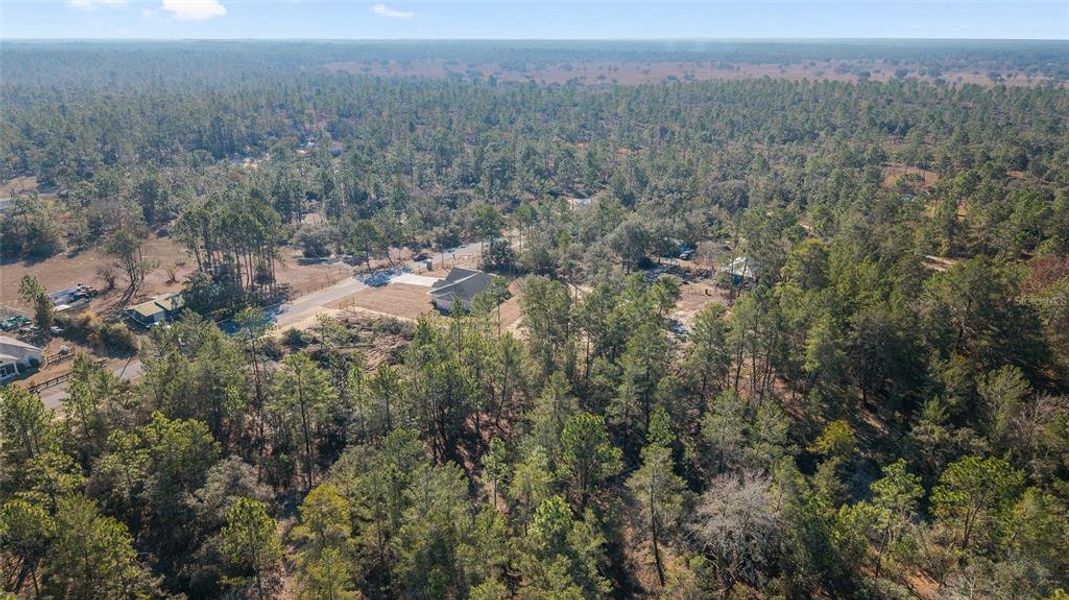 Natural landscape and outdoor views near  in Dunnellon (Image 48).