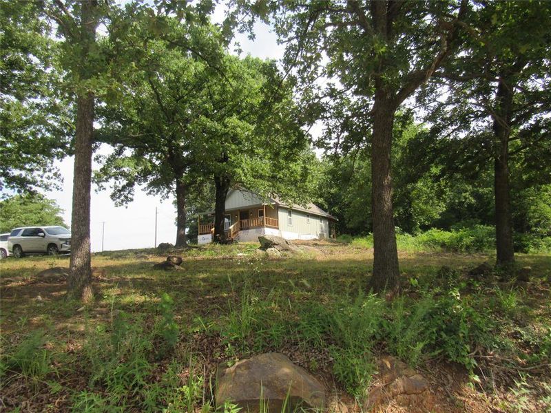 Natural landscape and outdoor views near  in Gainesville (Image 22).