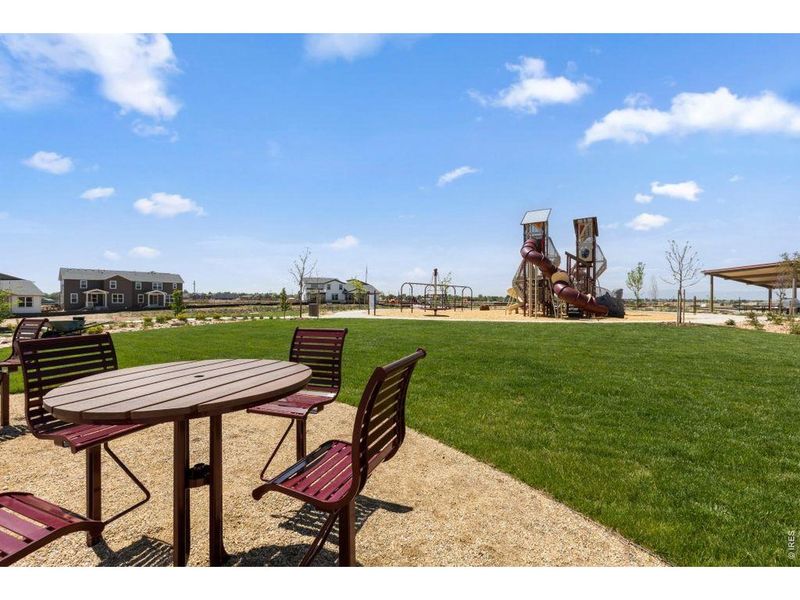 Community amenities in Cordovan, Longmont (Image 28). Community amenities in Cordovan, Longmont (Image 28).