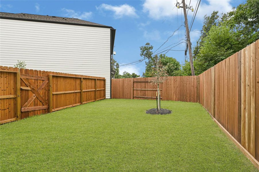 This backyard features a well-maintained lawn enclosed by a wooden fence, offering privacy and a cozy outdoor space. There's a young tree planted in the center, adding a touch of greenery to the area. This backyard features a well-maintained lawn enclosed by a wooden fence, offering privacy and a cozy outdoor space. There's a young tree planted in the center, adding a touch of greenery to the area.