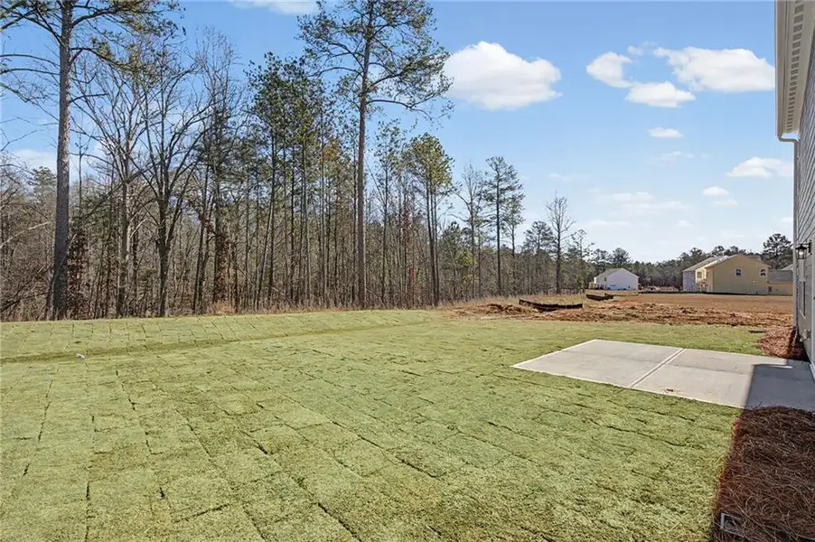 Exterior details and patio area of a home in Twin Lakes, Hoschton (Image 4). Exterior details and patio area of a home in Twin Lakes, Hoschton (Image 4).